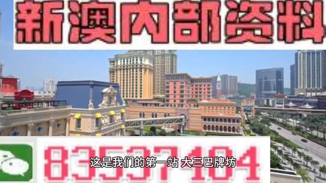 2024新澳门精准资料免费,深入应用数据解析_限量款11.888