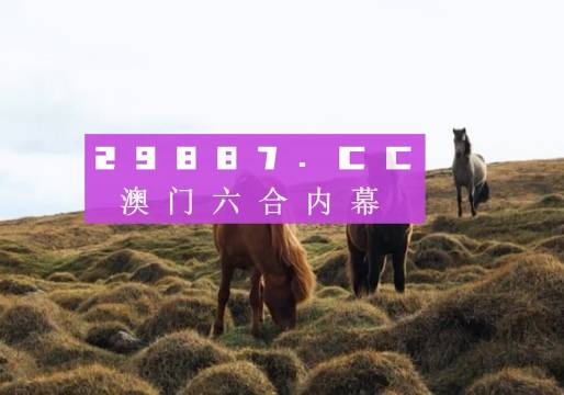 2024澳门特马今晚开奖图纸,权威诠释推进方式_N版77.741