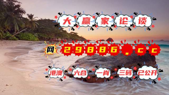 2024年12月22日 第41页