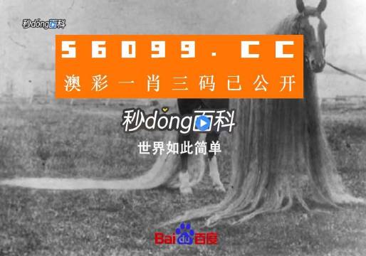 澳门一肖一码一必中一肖同舟前进,优选方案解析说明_The99.218