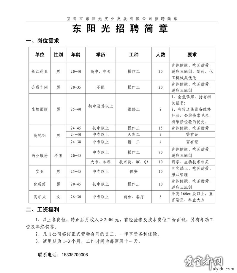 宜都东阳光最新招聘动态及其行业影响力分析