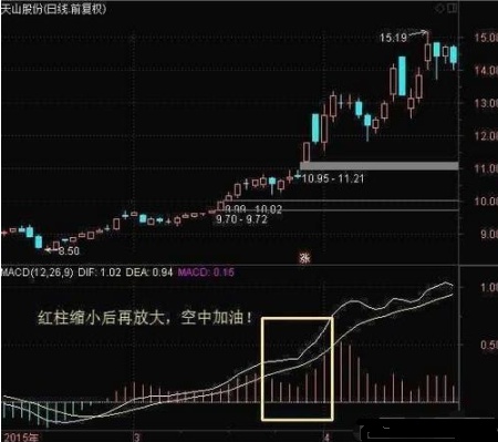 最准一肖100%最准的资料,深层策略执行数据_经典版65.327