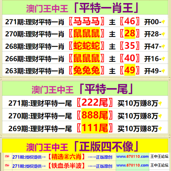 王中王精准资料期期中澳门高手,深度解答解释定义_9DM25.871