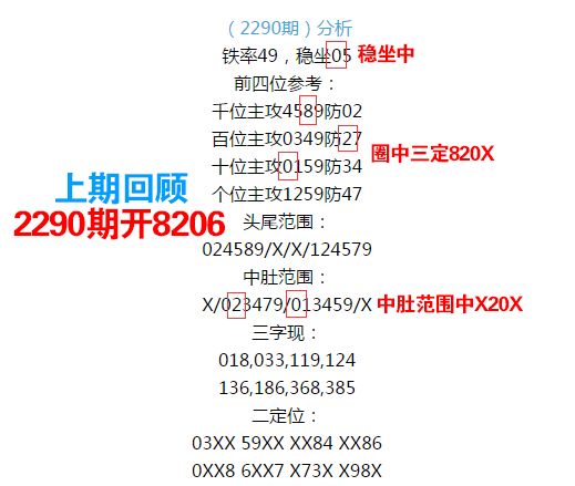 555525王中王心水高手,专业分析解释定义_尊享款65.391