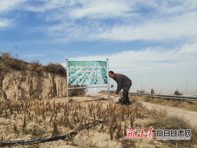 兰州黄峪乡最新规划，打造繁荣宜居新乡村蓝图揭晓