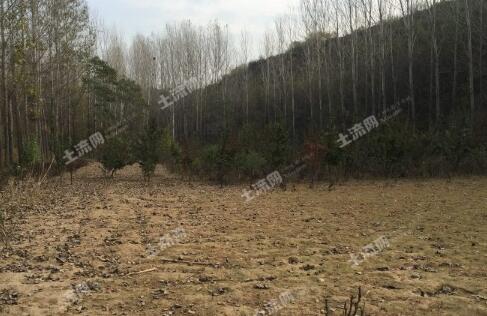 山东荒山荒地承包最新动态，机遇与挑战同在