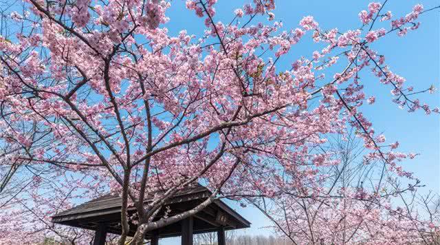 上海外环线地图揭示城市扩张与变迁新貌