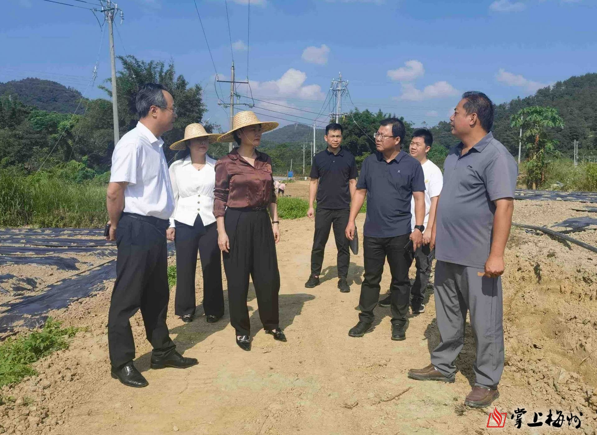 梅州张丽霞，个人成就与社会贡献之旅的最新动态