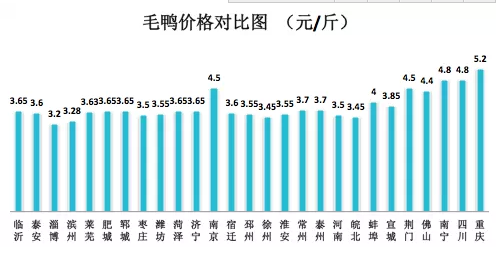 2025年1月11日